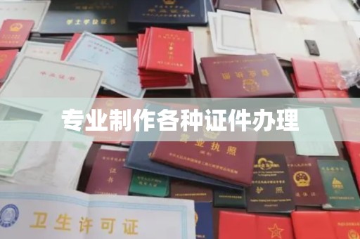 嘉鱼专业制作各种证件办理