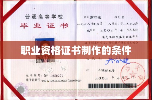 嘉鱼职业资格证书制作的条件